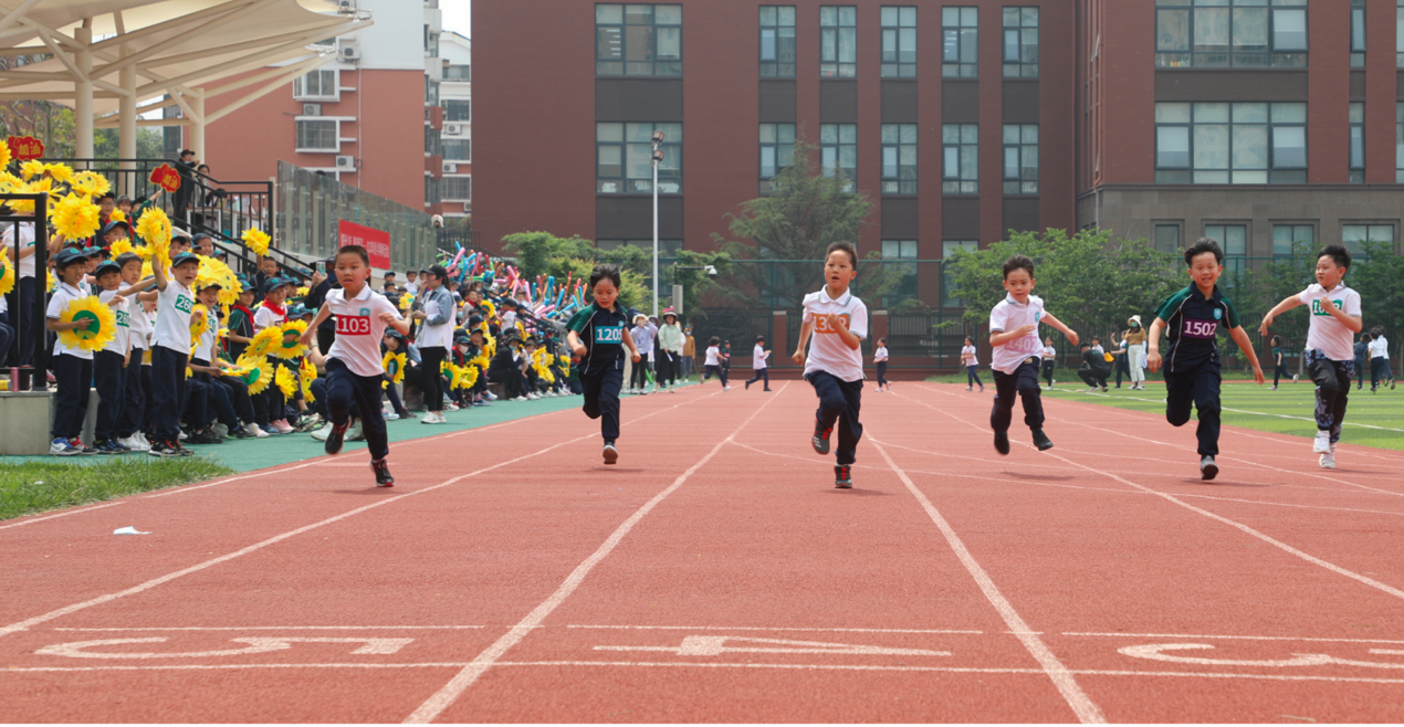 賭波:海信學校:黑馬是怎樣鍊成的?